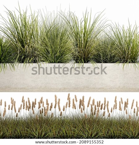 Similar – Image, Stock Photo Single reed grass on a cold sunny winter day at the lake