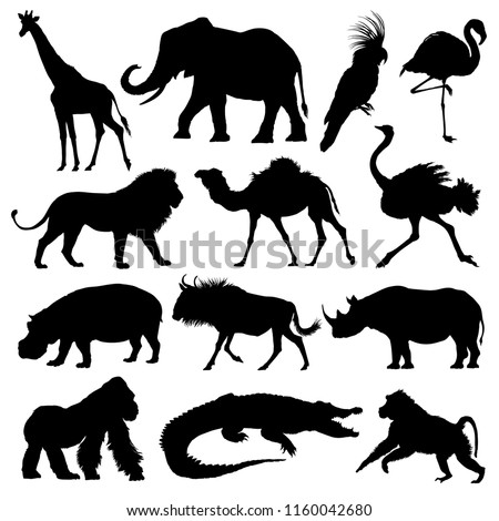African animals silhouettes set. Giraffe, elephant, antelope, hippopotamus, rhinoceros, camel, ostrich, crocodile, flamingo, cockatoo, baboon, gorilla, lion. Vector illustration.