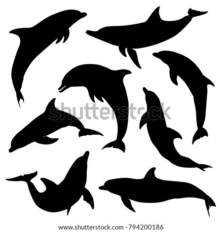 Dolphin Silhouettes. Set. Vector illustration