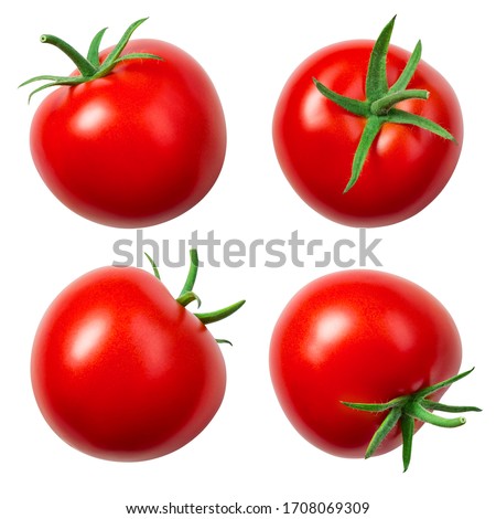 Tomatoes isolated. Whole tomato on white. Tomato with clipping path. Tomato set.