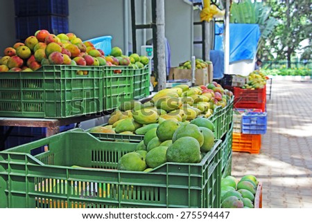 India with its wide ranging climatic zones produces a great variety of mangoes, with a broad range of taste, color, shape, texture, etc. April, May and June are the main season.