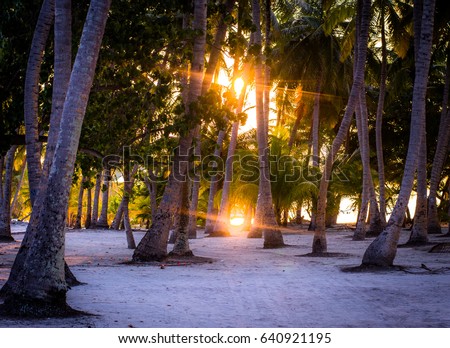 Sunset Maldives Zdjęcia stock © 