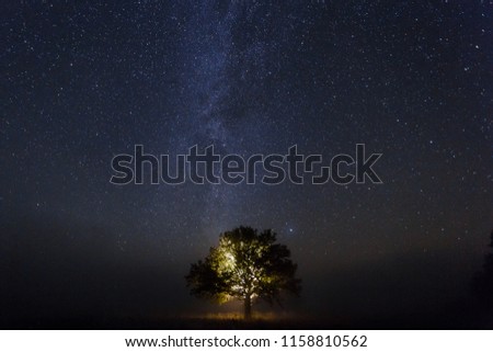 Similar – Foto Bild Baum unterm Sternenhimmel.