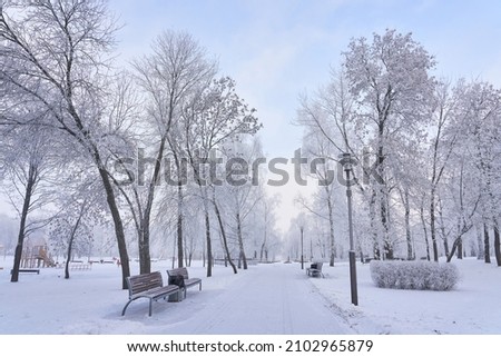 Similar – Image, Stock Photo snow bench Snow Winter