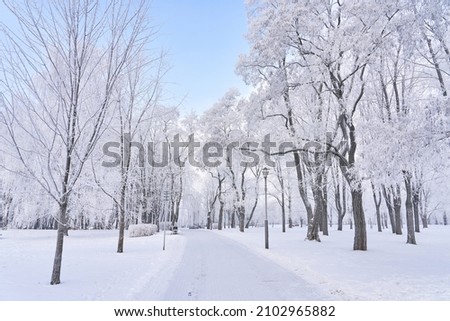 Similar – Image, Stock Photo snow bench Snow Winter