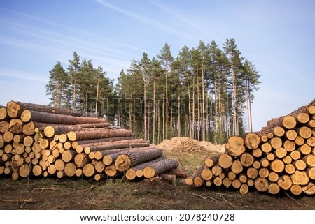 Similar – Image, Stock Photo timber harvest