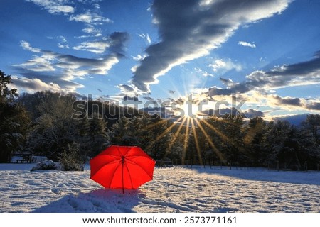 Similar – Foto Bild Teil eines weißen Sonnenschirms mit Schatten von Blättern eines Baumes hinter ihm