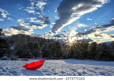 Similar – Foto Bild Teil eines weißen Sonnenschirms mit Schatten von Blättern eines Baumes hinter ihm