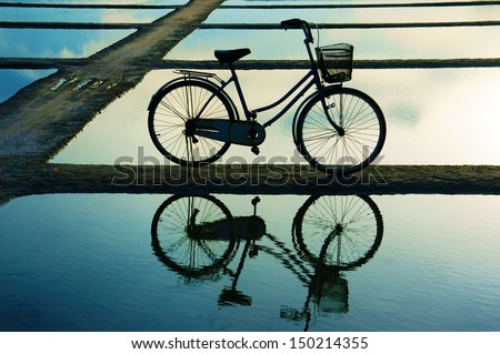 Bicycle put on surface water, water surface like mirror that reflect it\'s shadow. The sky very nice appeared on water, lines in horizontal create abstraction