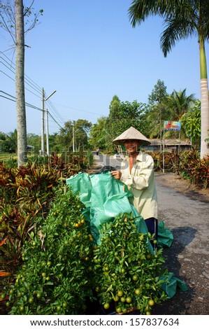 SA DEC, VIET NAM- JANUARY 26: Asia farmer stand beside an ornament tree pot -citrus tree that full of fruit, he prepare this produce to sell on Vietnam Tet, Sa Dec, Jan 26, 2013