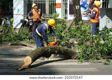 HO CHI MINH CITY, VIETNAM- AUGUST 12 : Group of city worker working on street, man sawing branch green tree by saw to protect people from broke tree in rainy season,  Viet Nam,  August 12, 2014