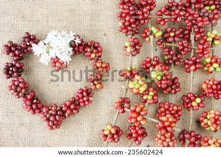 Close up of red coffee bean, agriculture product of Vietnam,  cafe bean in bamboo basket on sackcloth background, amazing heart shape with fresh ripe berries in vibrant colors
