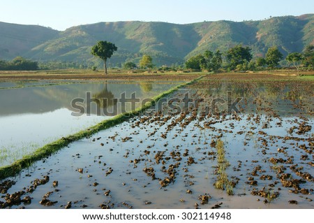 Agriculture field after harvest season, beautiful landscape of nature, flooded farm, tree reflect on water, chain of mountain behind, green countryside of Daklak, Viet Nam