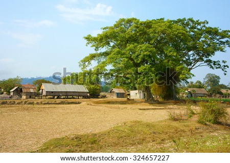 Vietnamese rural at Buon Me Thuot, Daklak, group of house on stilts with large green tree, fresh air, wooden house, poor life at Vietnam countryside