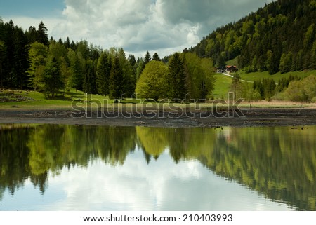 Trees along the shore of a lake reflected in water