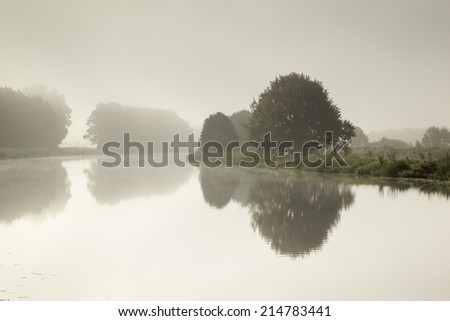 Misty river with tree reflections in the water