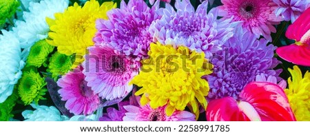 Foto Bild Blumenstrauß mit schönen Gerbera-Blumen. Kalter minzgrüner Ton