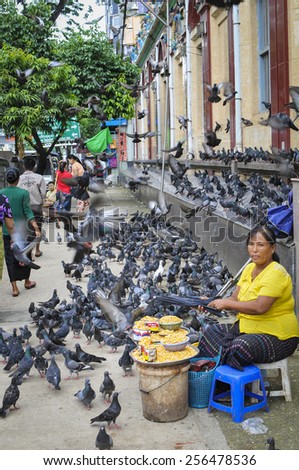 The street at Yangon, MYANMAR, July 2: woman selling birdseed on July 2, 2014 inYangoon, Myanmar. Birds were fed and comfortable living everywhere in the city