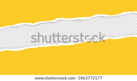 Ripped squared horizontal paper strips for text or message. Torn paper edge. Torn paper stripes. Vector illustration.