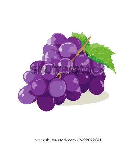 Vector illustration of purple grapes