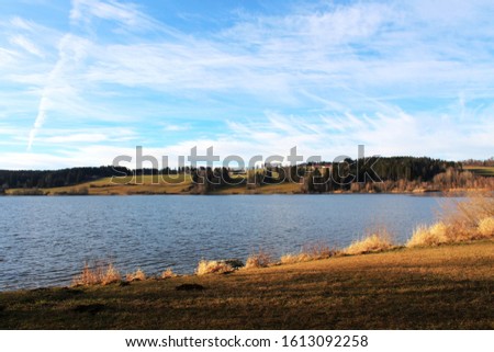 Similar – Image, Stock Photo snowless January Meadow