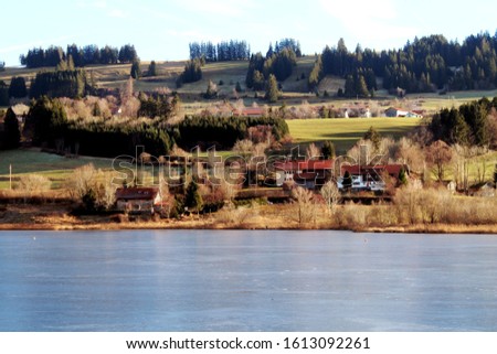 Similar – Image, Stock Photo snowless January Meadow