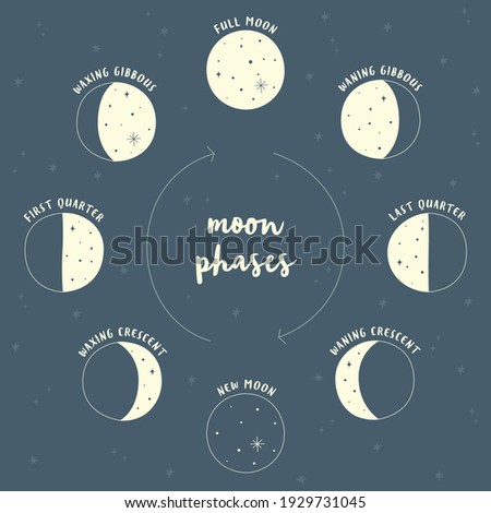 Illustration in blue and yellow of moon phases in vector