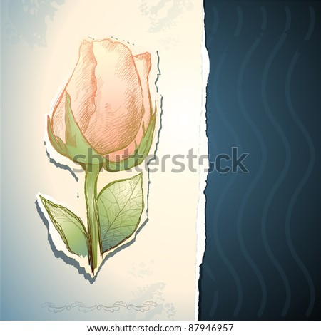 Invitation with rose, vector background