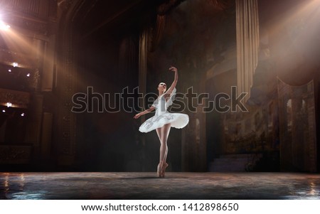 Similar – Image, Stock Photo young female ballet dancer at the studio