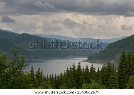 Similar – Foto Bild Nach dem Regen, im Sonnenlicht, ein Pferd auf der Koppel