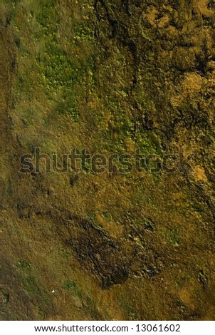 grunge background texture on dirty water