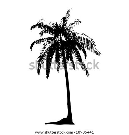 Vector Palm Tree - 18985441 : Shutterstock