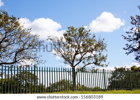 Scenic view of green palisade security fence blending into a natural enviorment