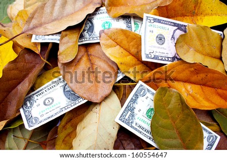 concept money doesn\'t grow on trees dollar bills and leaves
