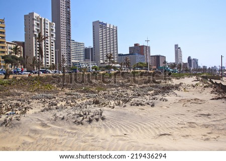 DURBAN, SOUTH AFRICA - SEPTEMBER 21, 2014: Many unknown people walk behind rehabilitated sand dune against city skyline in Durban, South Africa
