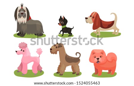 Vector Illustration Concept With Dogs Breed Isolated On White Background