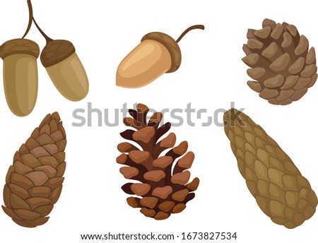 Similar – Image, Stock Photo fir cones