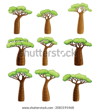 Baobab trees set. African continent symbols. Powerful plants with green foliage cartoon vector illustration