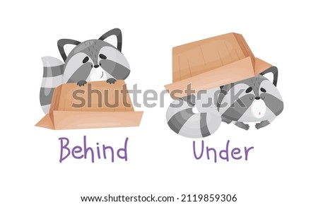 Learning English preposition set. Cute cat behind and under the box. Educational visual material cartoon vector illustration