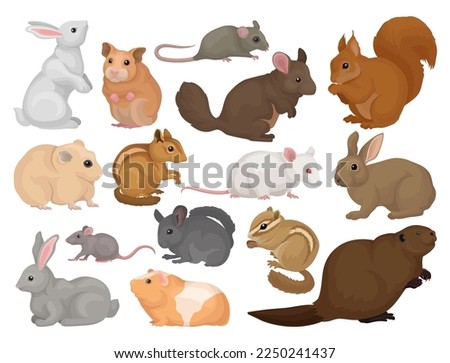 Species of Rodents with Rabbit, Hamster, Mouse, Squirrel, Rat, Beaver and Chipmunk Big Vector Set