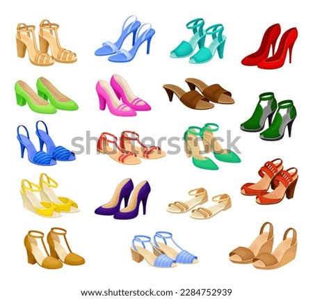 Different Woman Shoes and Footwear Collection Big Vector Set