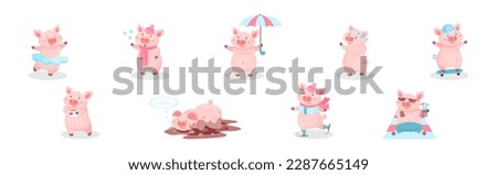 Funny Pink Pig with Snout in Different Activities Vector Set