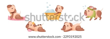 Similar – Image, Stock Photo Dog running on stone pier