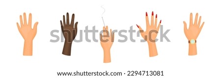 Different Human Right and Left Hands with Palm Raised Up Vector Set