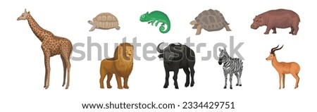 African Animal with Buffalo, Giraffe, Lion, Turtle and Hippo Vector Set