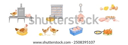 Similar – Image, Stock Photo chicken Meat Animal