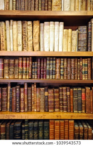caceres spain june 10 2013 antique books bookshelves inside a bookstore - Antique Looking Bookshelves caceres spain june 10 2013 antique books bookshelves inside a bookstore - Antique Looking Bookshelves