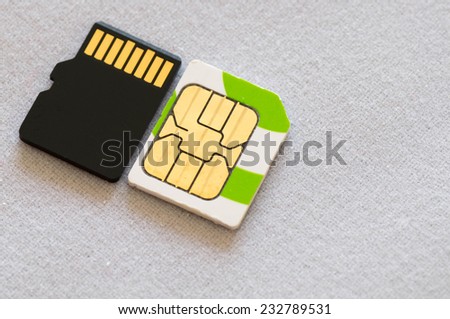 A micros SIM next to a micro SD card