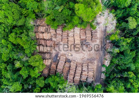 Aerial view of a log storage yard from authorized logging in an area of the Brazilian Amazon rainforest.