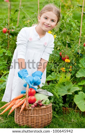 Vegetable garden - lovely gardener with  the basket of gathered vegetables